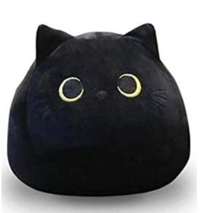 Meet your Posher, Wendi